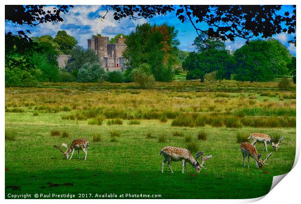        Deer at Powderham Castle           Print by Paul F Prestidge
