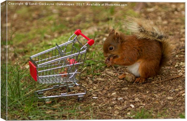Shopping For Nuts! Canvas Print by Sandi-Cockayne ADPS