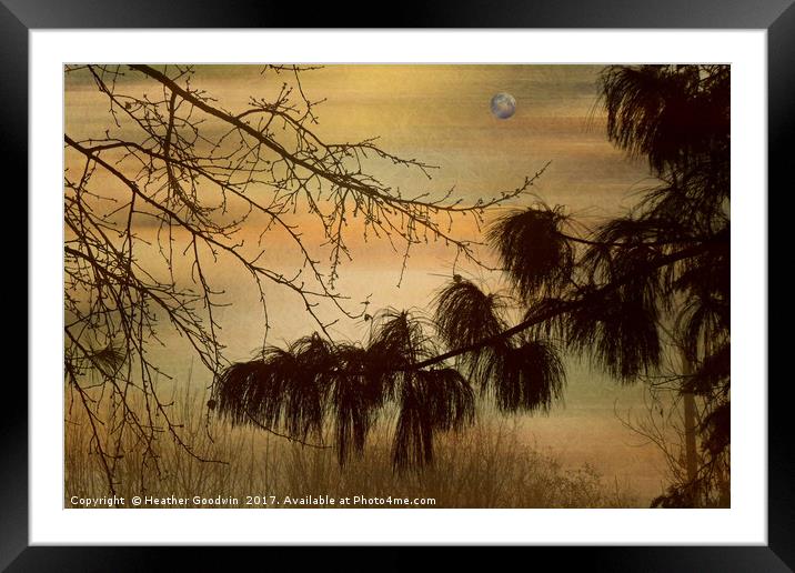 Evening Fog Framed Mounted Print by Heather Goodwin