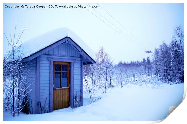 A Blue Wooden Cabin on a Carpet of Fresh Snow  Print by Teresa Cooper