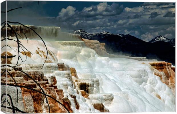 Mammoth Hot Springs, Yellowstone National Park Canvas Print by Janet Mann