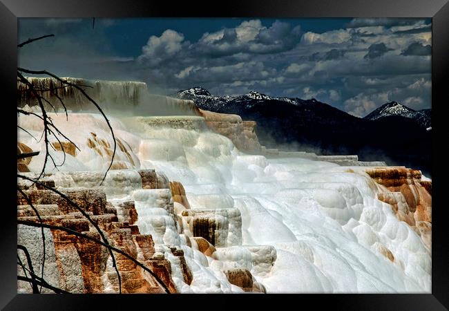 Mammoth Hot Springs, Yellowstone National Park Framed Print by Janet Mann