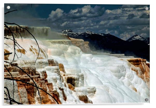 Mammoth Hot Springs, Yellowstone National Park Acrylic by Janet Mann
