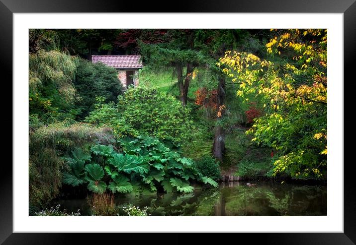 Clyne Park gardens Framed Mounted Print by Leighton Collins