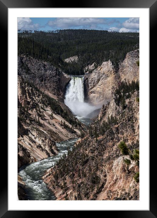 Yellowstone Lower Falls  Framed Mounted Print by Janet Mann