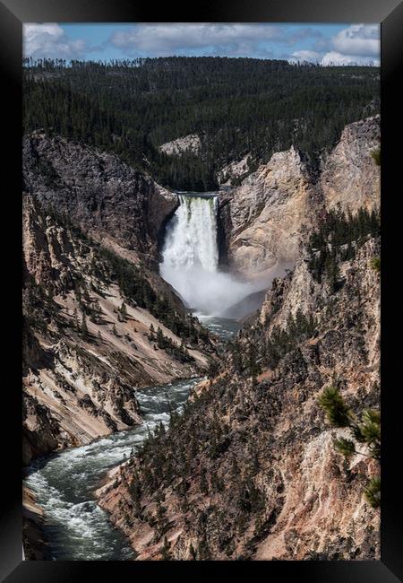 Yellowstone Lower Falls  Framed Print by Janet Mann