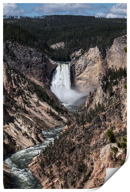 Yellowstone Lower Falls  Print by Janet Mann