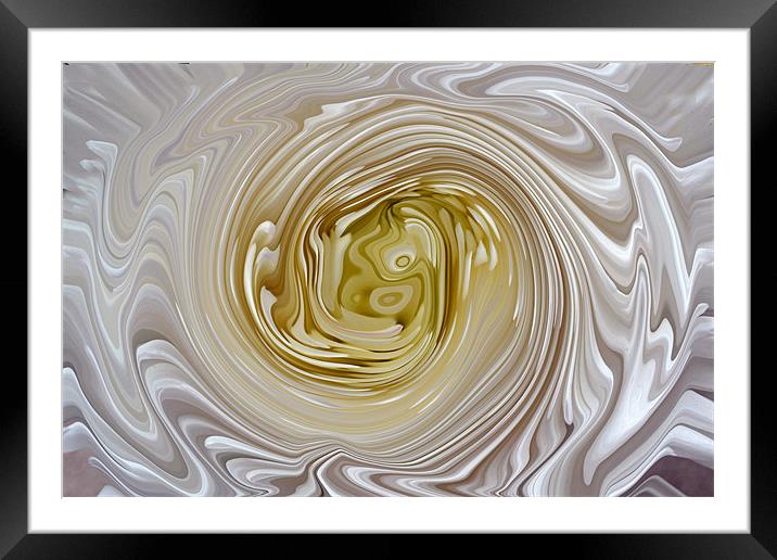 Molten Chrysanth Swirl Framed Mounted Print by Donna Collett