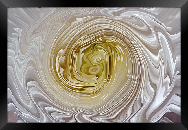 Molten Chrysanth Swirl Framed Print by Donna Collett