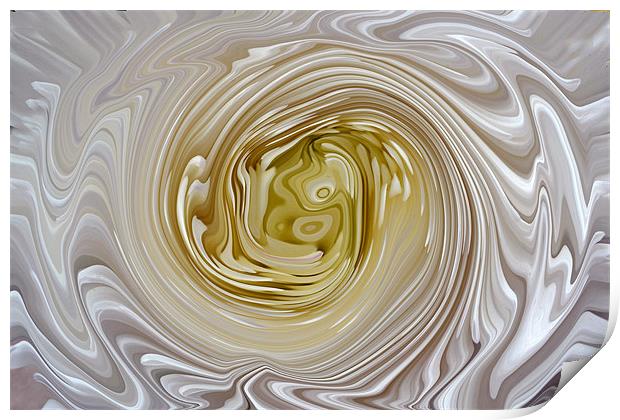 Molten Chrysanth Swirl Print by Donna Collett