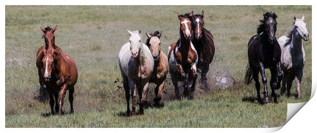 Galloping Horses Print by Janet Mann