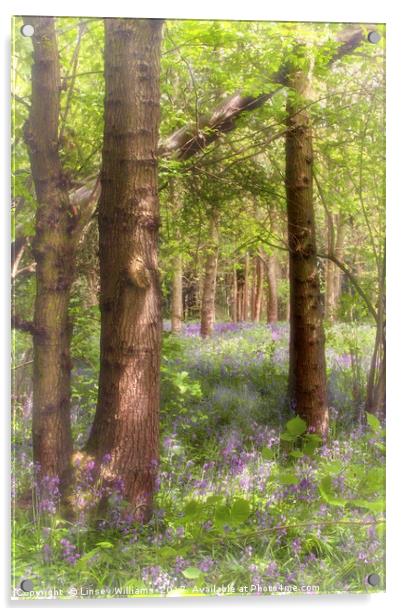Dreaming of Bluebells in Spring Acrylic by Linsey Williams