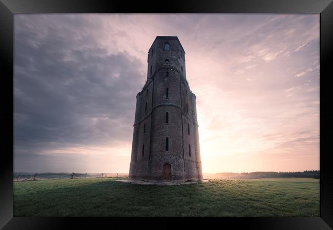 The Tower Framed Print by Chris Frost