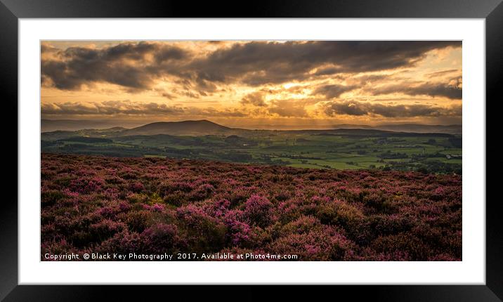 Hidden in Heather, a view from Stiperstones, Shrop Framed Mounted Print by Black Key Photography