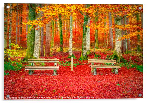 Benches on a carpet of autumn leaves  Acrylic by Daniela Simona Temneanu