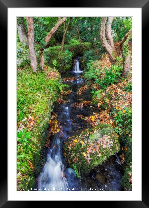 Autumn Forest Stream Framed Mounted Print by Ian Mitchell