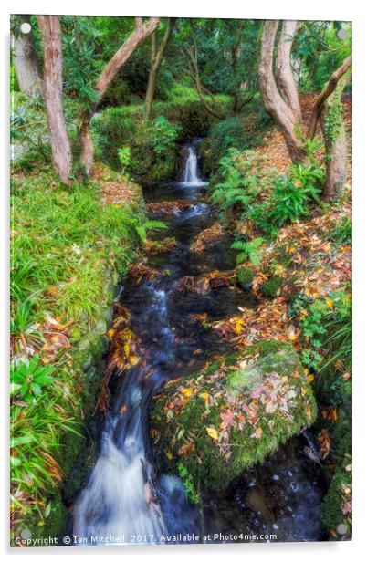 Autumn Forest Stream Acrylic by Ian Mitchell