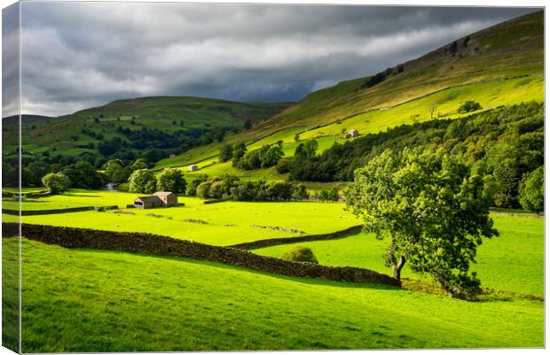 Green fields in Swaledale, North Yorkshire Canvas Print by Andrew Kearton