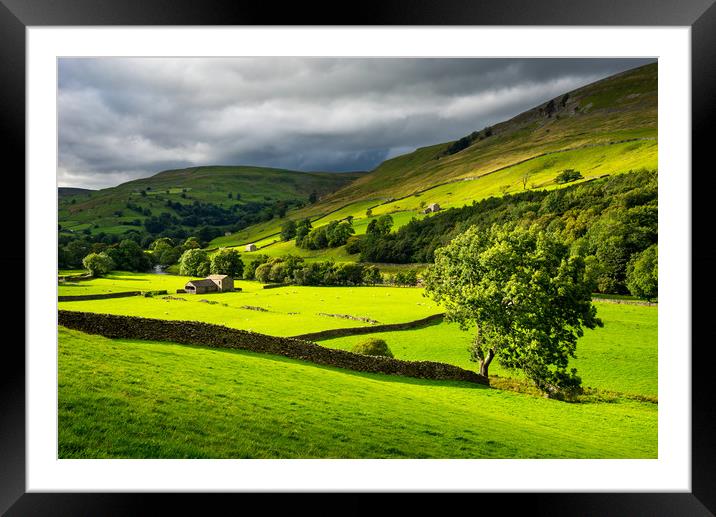 Green fields in Swaledale, North Yorkshire Framed Mounted Print by Andrew Kearton