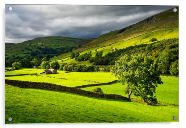 Green fields in Swaledale, North Yorkshire Acrylic by Andrew Kearton