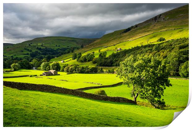 Green fields in Swaledale, North Yorkshire Print by Andrew Kearton