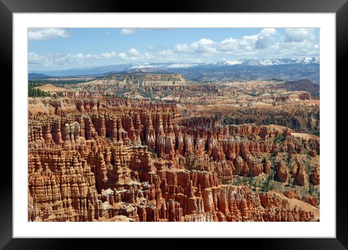 Bryce Canyon Framed Mounted Print by Janet Mann