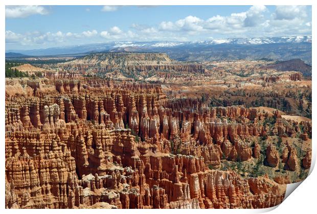 Bryce Canyon Print by Janet Mann