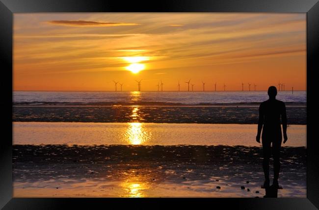 silhouettes in the sunset Framed Print by sue davies
