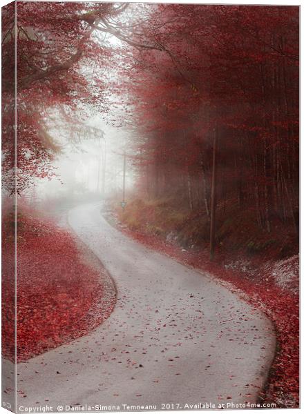 Alley through misty forest in autumn colors Canvas Print by Daniela Simona Temneanu