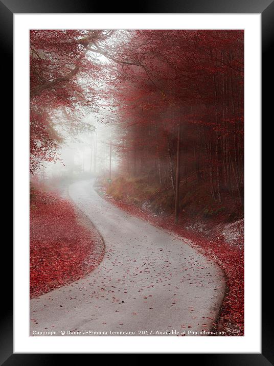Alley through misty forest in autumn colors Framed Mounted Print by Daniela Simona Temneanu