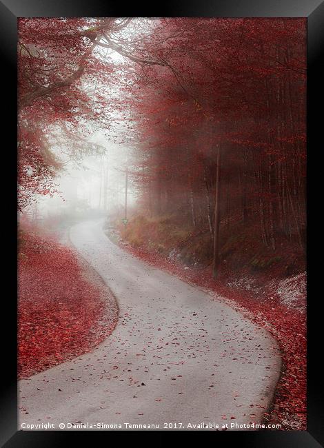 Alley through misty forest in autumn colors Framed Print by Daniela Simona Temneanu