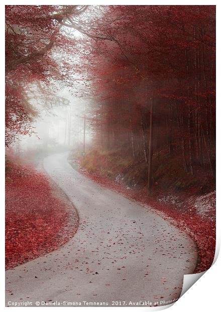Alley through misty forest in autumn colors Print by Daniela Simona Temneanu