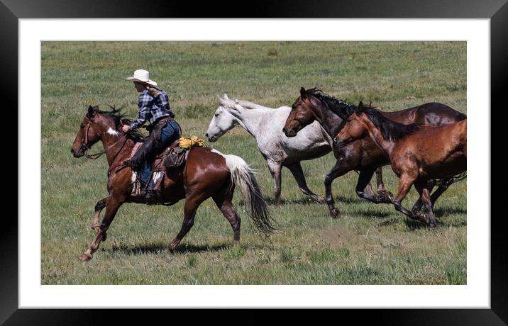 wild horses in action Framed Mounted Print by Janet Mann