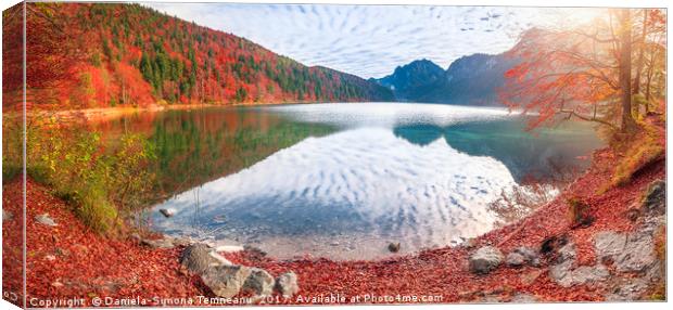 Alpsee lake in autumn colors Canvas Print by Daniela Simona Temneanu