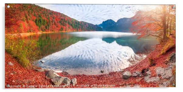 Alpsee lake in autumn colors Acrylic by Daniela Simona Temneanu