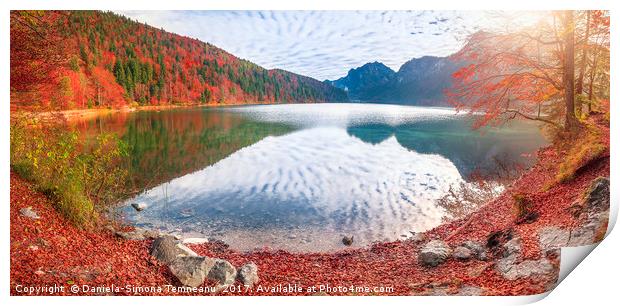 Alpsee lake in autumn colors Print by Daniela Simona Temneanu