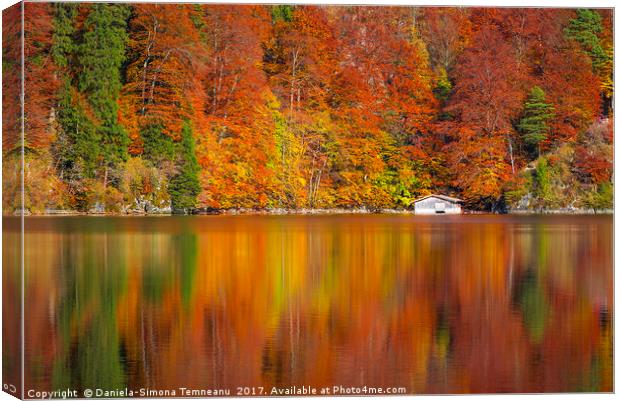 Autumn forest reflected in the Alpsee lake  Canvas Print by Daniela Simona Temneanu
