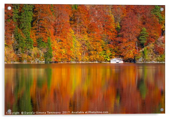 Autumn forest reflected in the Alpsee lake  Acrylic by Daniela Simona Temneanu