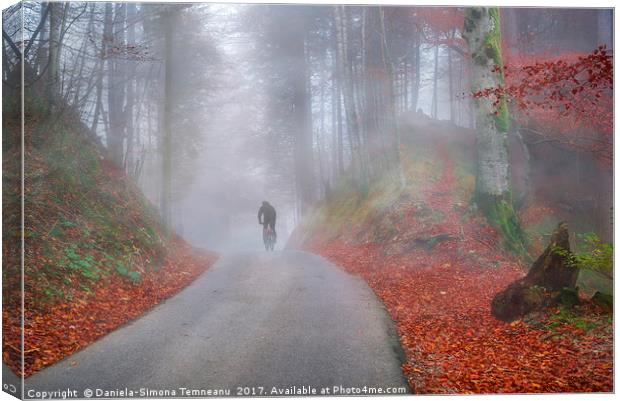 Autumn forest shrouded by cold fog Canvas Print by Daniela Simona Temneanu