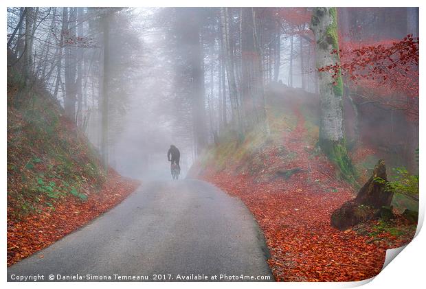 Autumn forest shrouded by cold fog Print by Daniela Simona Temneanu