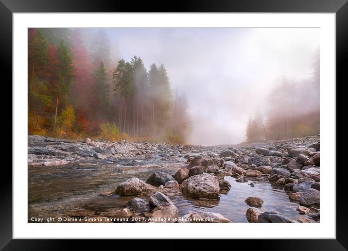 Autumn mist over river and forest Framed Mounted Print by Daniela Simona Temneanu