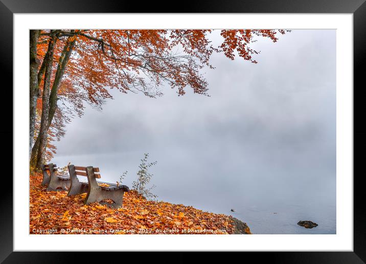Benches on a foggy lake shore Framed Mounted Print by Daniela Simona Temneanu