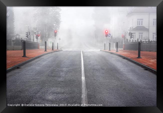Boulevard in Slovenia surrounded by mist Framed Print by Daniela Simona Temneanu