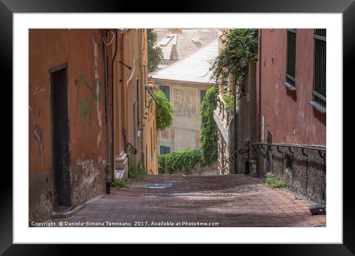 Empty old street in Genoa city Framed Mounted Print by Daniela Simona Temneanu