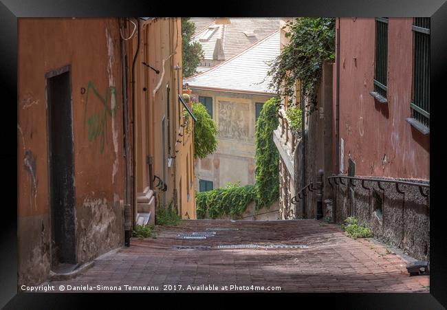 Empty old street in Genoa city Framed Print by Daniela Simona Temneanu