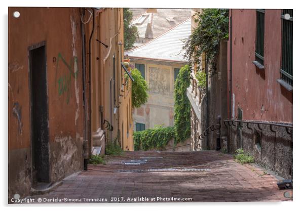 Empty old street in Genoa city Acrylic by Daniela Simona Temneanu