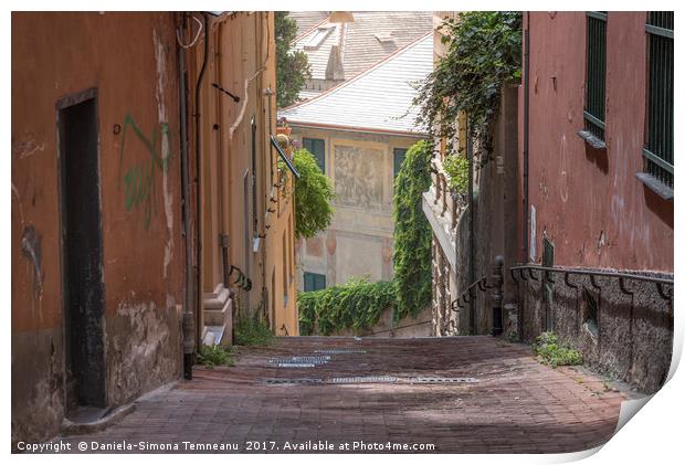 Empty old street in Genoa city Print by Daniela Simona Temneanu