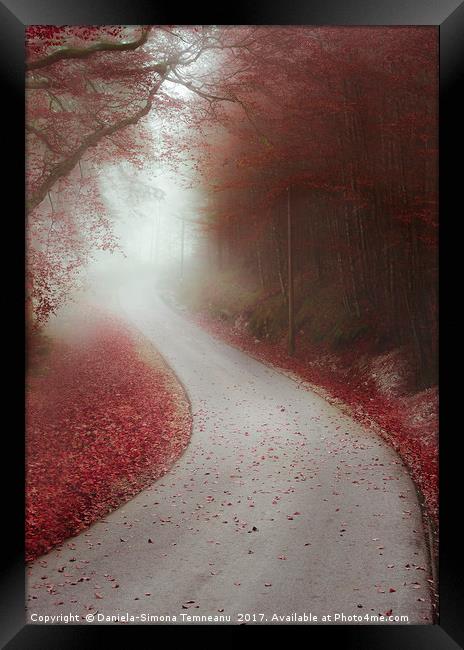 Endless road through a misty forest Framed Print by Daniela Simona Temneanu
