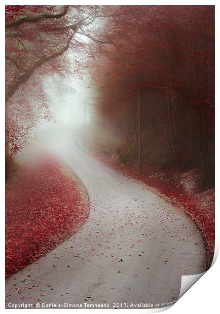 Endless road through a misty forest Print by Daniela Simona Temneanu