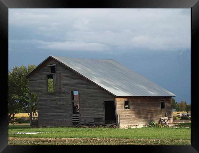 Homestead house Framed Print by Patti Barrett